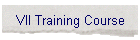 VII Training Course